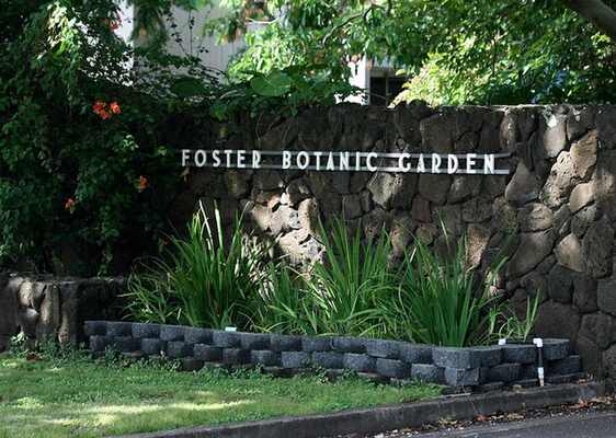 Foster Botanical Gardens