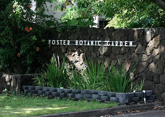 Foster Botanical Gardens