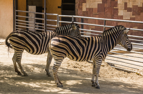 Barcelona Zoo