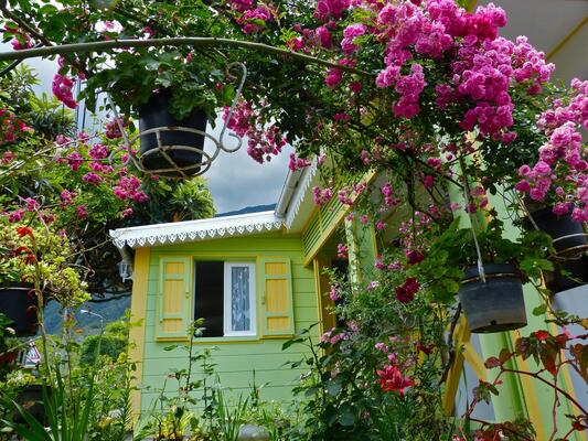 Gite Les Mimosas