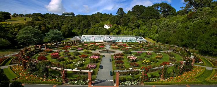 Wellington Botanic Garden