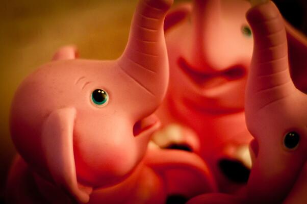Eight Elephants & Dreaming Dragon Hostel