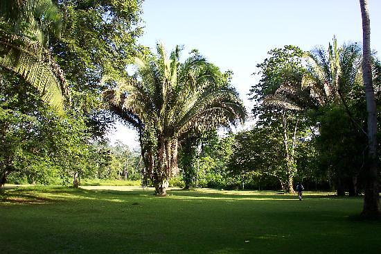 Jade Jungle Resort
