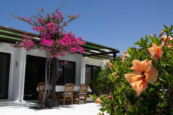 Kamezi Boutique Villas