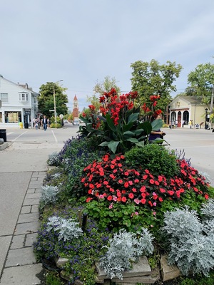 Niagara Apothecary Museum