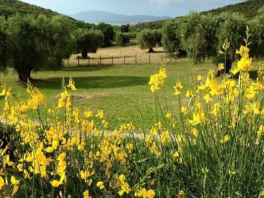 B&B Arena di Lucca