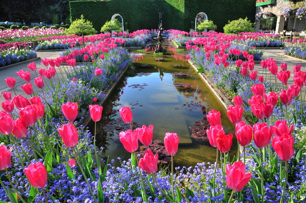 The Butchart Gardens
