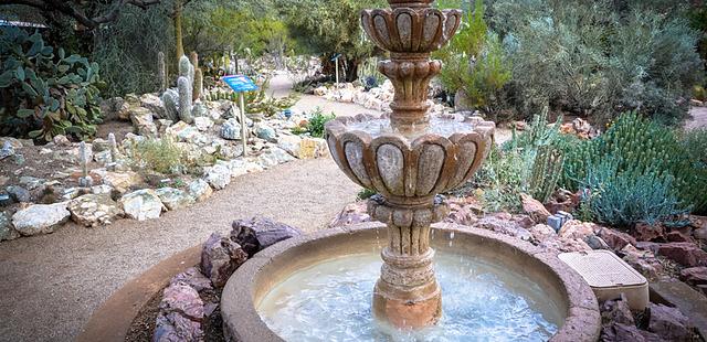 Tucson Botanical Gardens