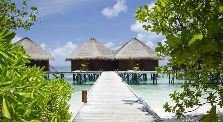 Mirihi Island Resort Reviews Tripexpert