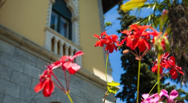 Hotel Villa Astra