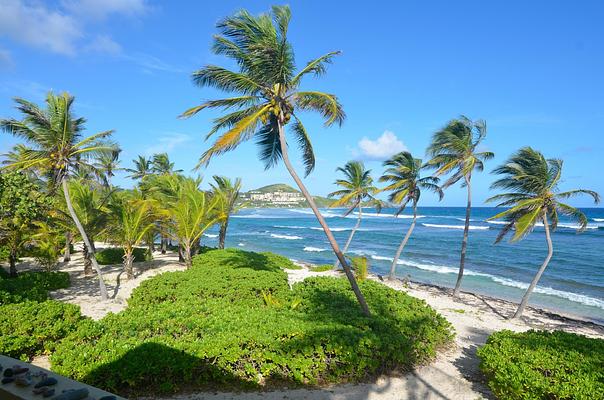 The Palms at Pelican Cove