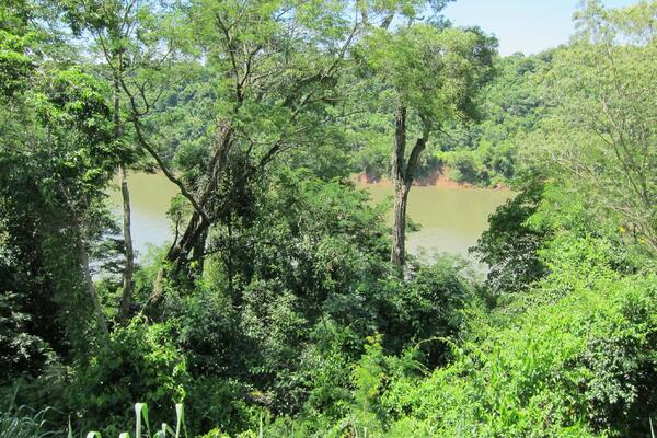 Guest House Puerto Iguazu