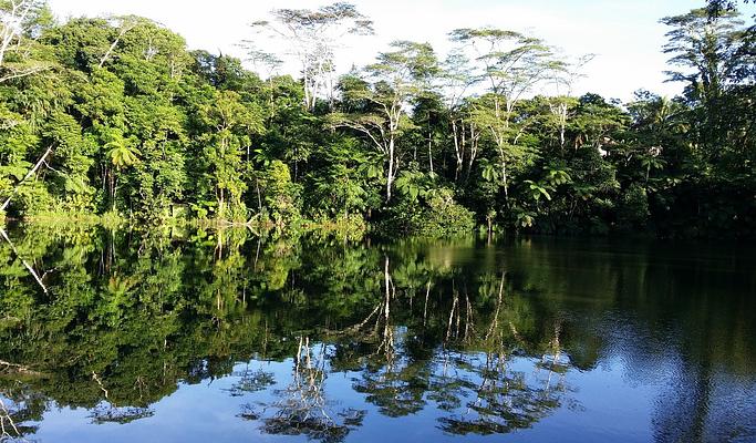 Colo-I-Suva Forest Park