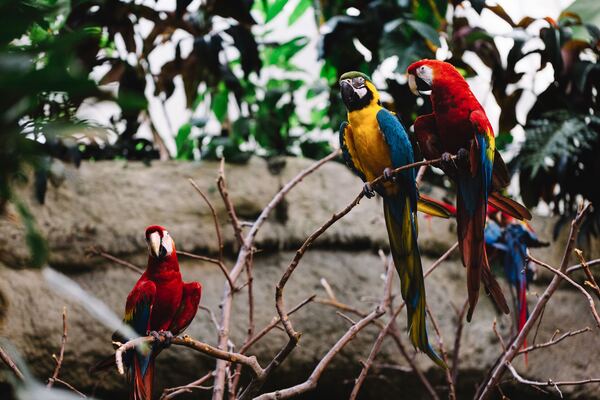 Biodome de Montreal