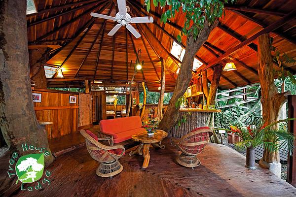 Tree House Lodge