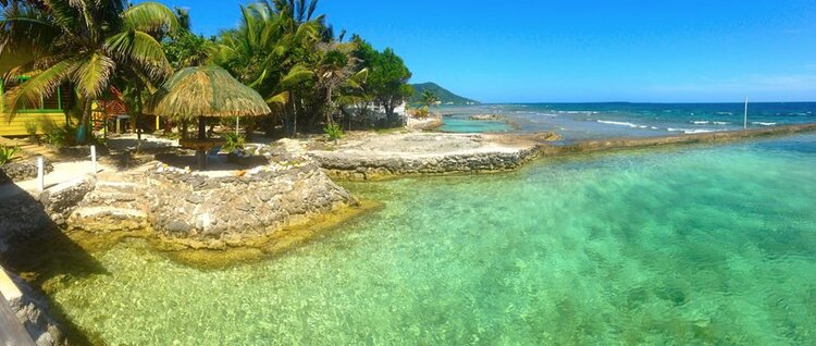 Reef House Resort