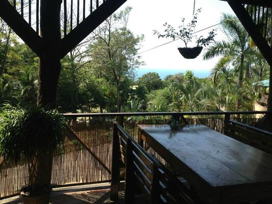 Hostel Plinio