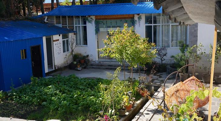 Dali Five Elements Hostel