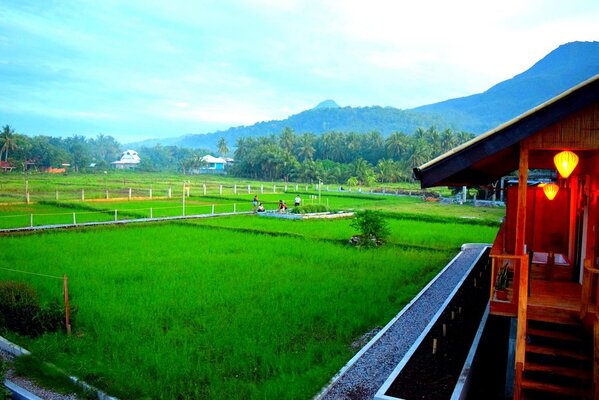Guerrera Rice Paddy Villas