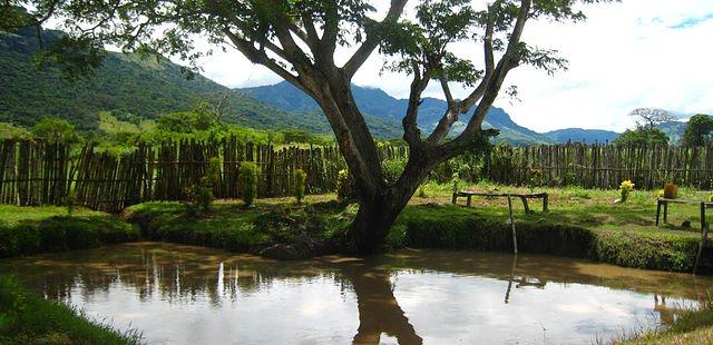 Sabeto Hot Springs and Mud Pool