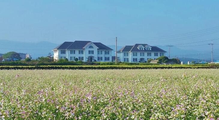 Bluebay Pension