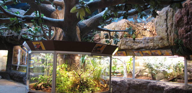 Skansen - Akvariet