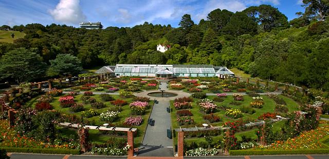 Wellington Botanic Garden