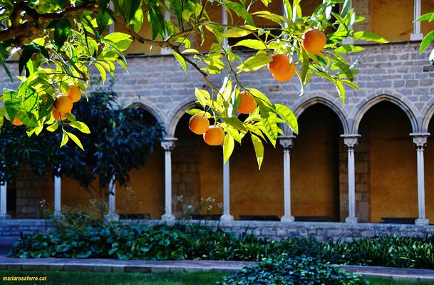 Reial Monestir de Santa Maria de Pedralbes