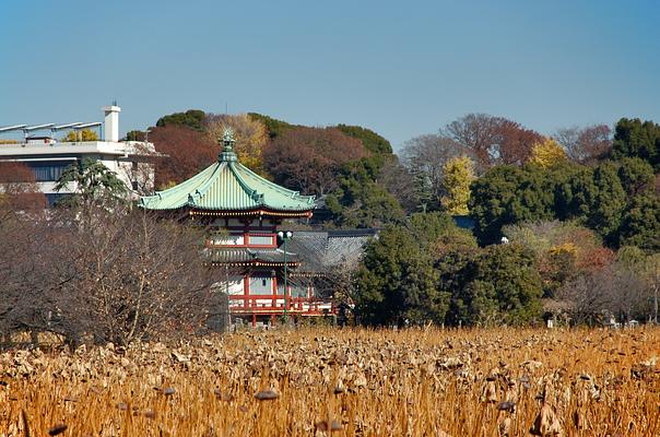 Ueno Park