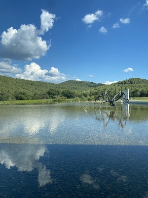 Chateau La Coste En Provence