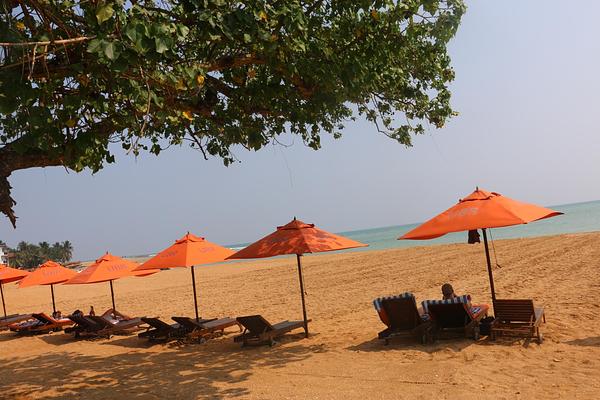 Calamander Unawatuna Beach