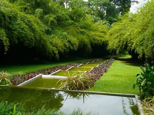 Brief Garden - Bevis Bawa