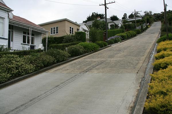 Baldwin Street: The Steepest Street in the World