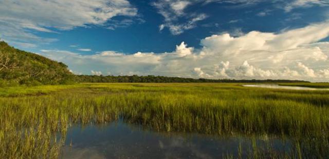 St. Andrews State Park