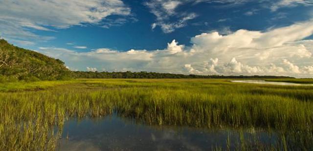 St. Andrews State Park