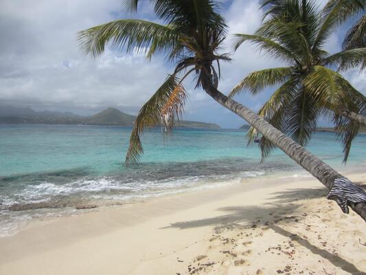 Petite Anse Hotel