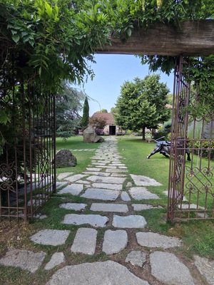 A Pignata