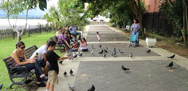 Parque de las Palomas