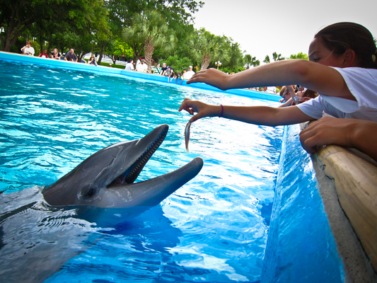 SeaWorld