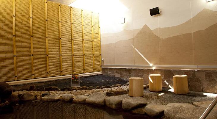 Super Hotel Lohas JR Nara Eki