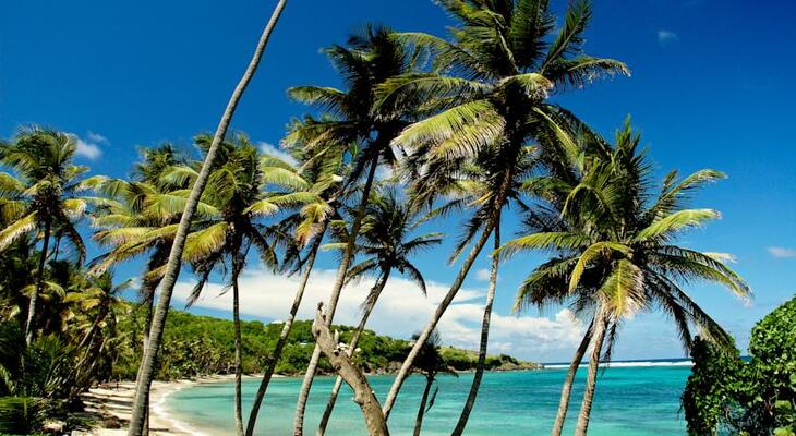 Sugar Reef Bequia