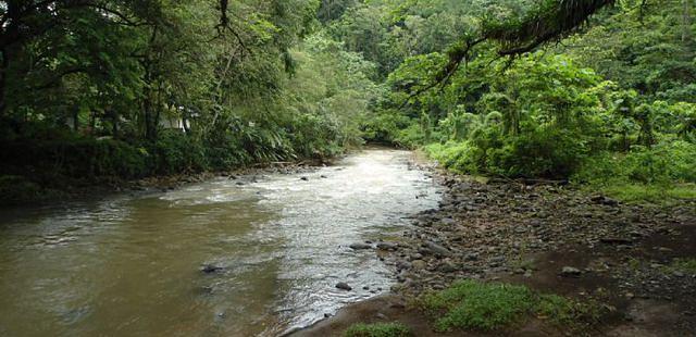 Carara National Park