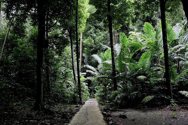 Welchman Hall Gully