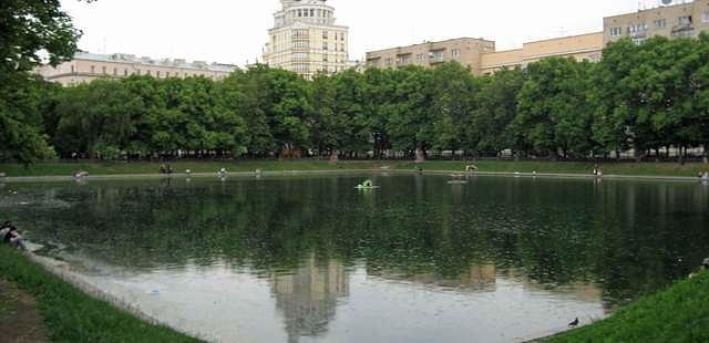 Patriarch's Pond