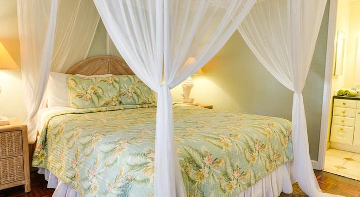 Old Lahaina House