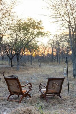 Onguma Forest Camp