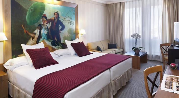 Hotel Princesa Plaza Madrid