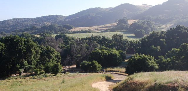 Topanga State Park