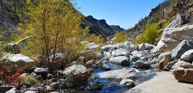 Sabino Canyon