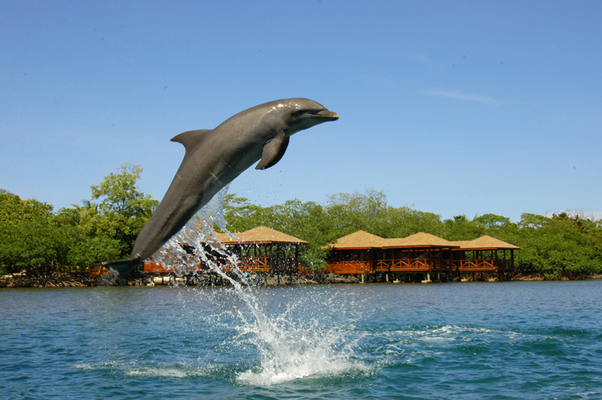 Anthony's Key Resort